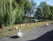 Quai des moulins